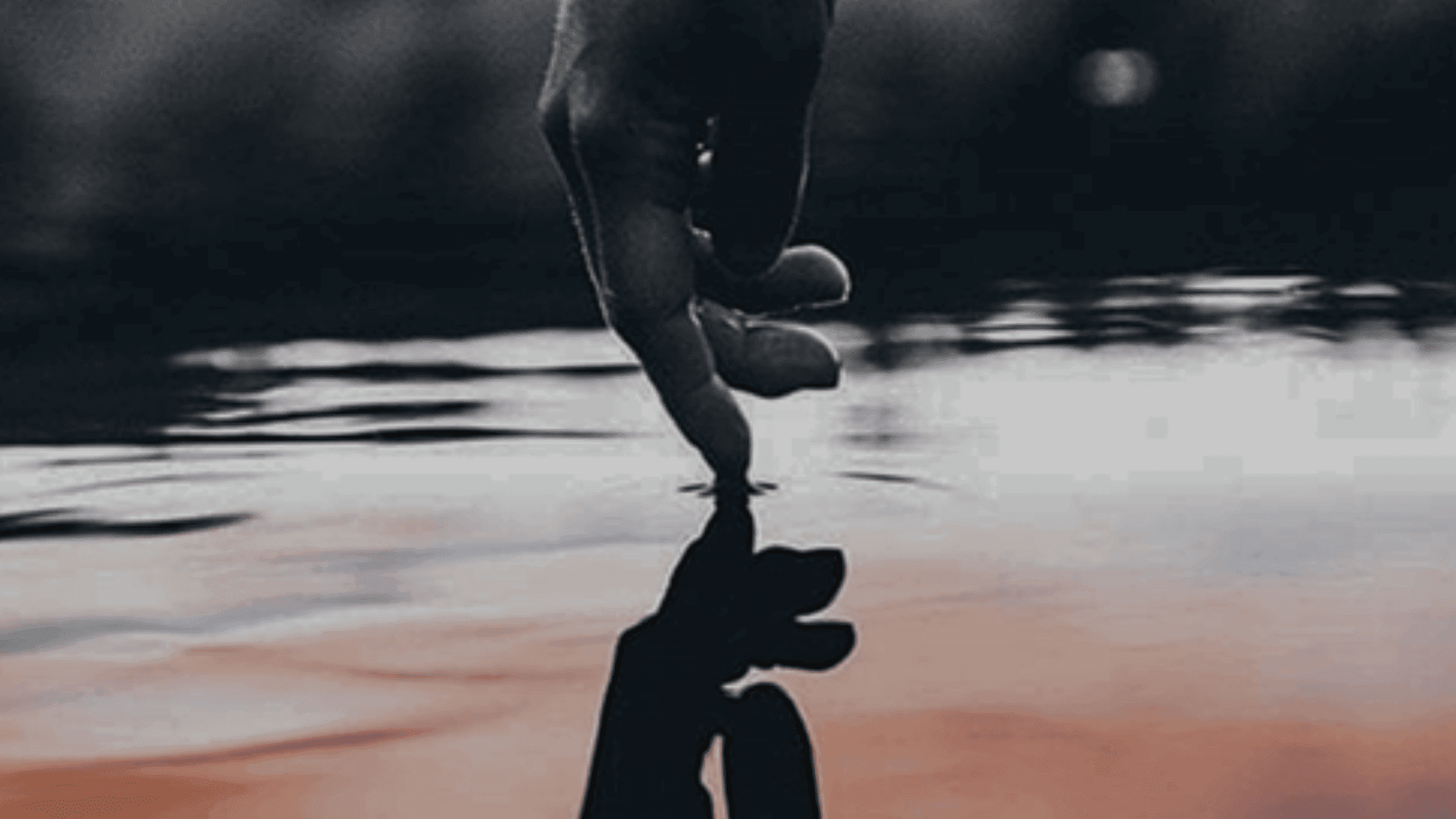 Vipassana - Corso Intermedio